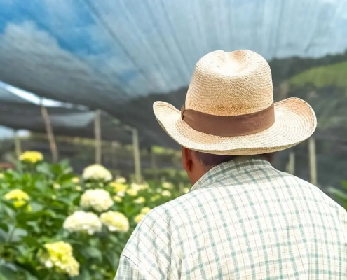 Microempresas de Colombia participa en el Taller para la Construcción de Arquetipos de Micronegocios