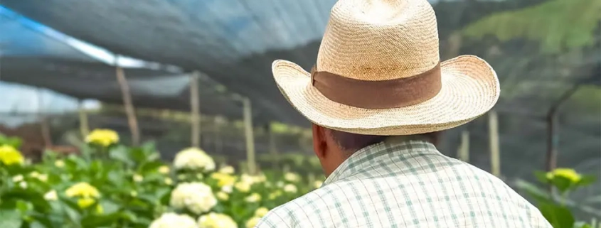 Microempresas de Colombia participa en el Taller para la Construcción de Arquetipos de Micronegocios