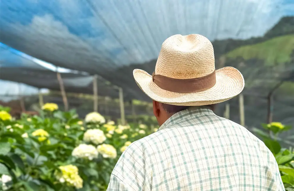 Microempresas de Colombia participa en el Taller para la Construcción de Arquetipos de Micronegocios