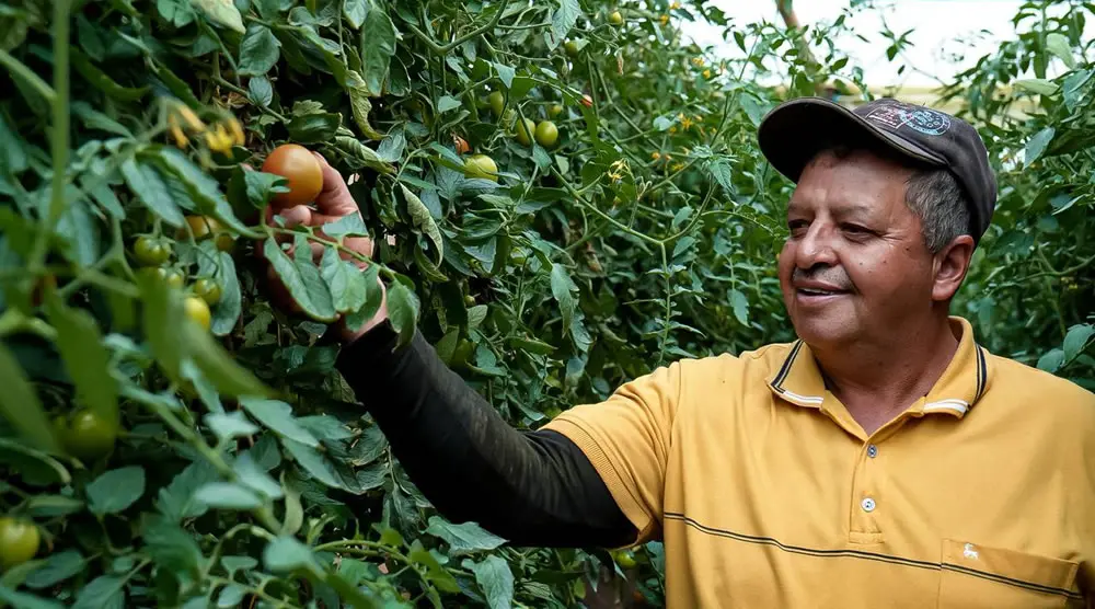 Microempresas de Colombia: solidez financiera e institucional